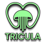 Tricula